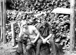 行动区域：列宁格勒,历史变迁中的行动区域概览