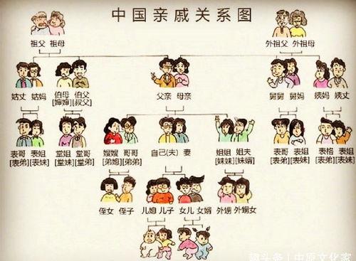 隔代表亲,跨越时空的温馨纽带